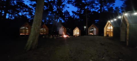 Night, Natural landscape, Garden