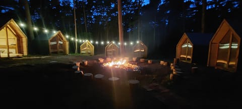 Night, People, Natural landscape, group of guests