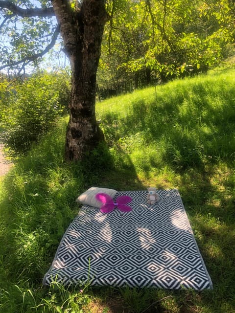 Garden, View (from property/room)