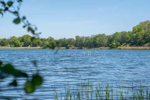 K357 - Ferienwohnung - Moin Moin - Pönitz - Scharbeutz Apartment in Lubeck