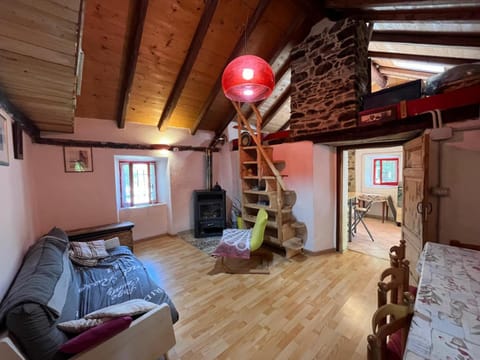 Photo of the whole room, Lunch