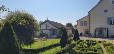 Garden, Garden view, Inner courtyard view