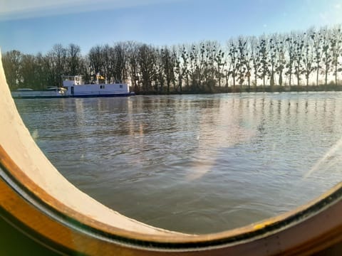 Natural landscape, River view