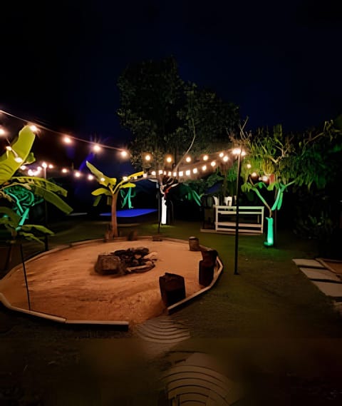 Night, Garden, Garden view