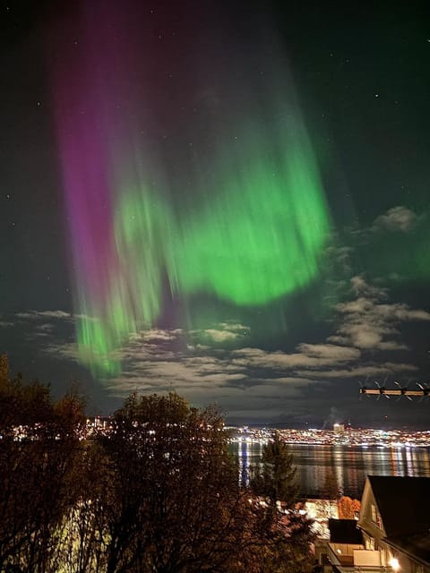 Romslig tilbaketrukket leilighet i Tromsø - Gratis parkering Apartment in Tromso