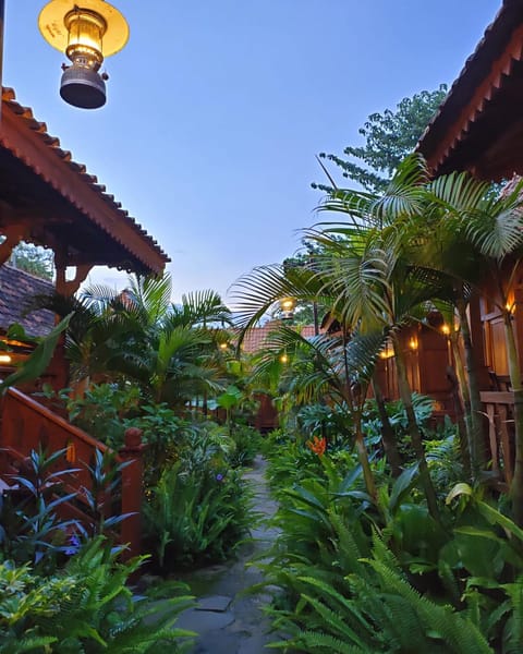 Garden view