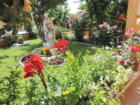 Garden, Decorative detail