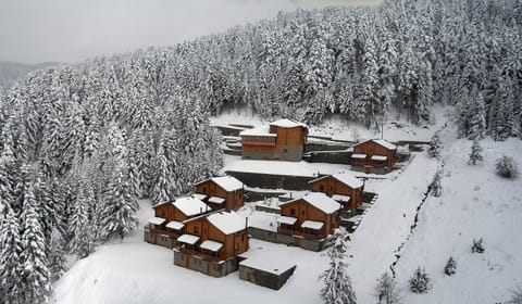 Bird's eye view, Winter, Mountain view