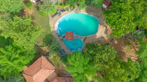 Bird's eye view, Garden view, Swimming pool
