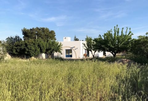 Property building, Spring, Natural landscape, Garden, Garden view