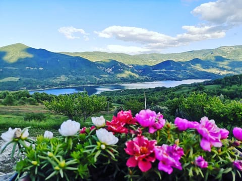 Natural landscape, Lake view