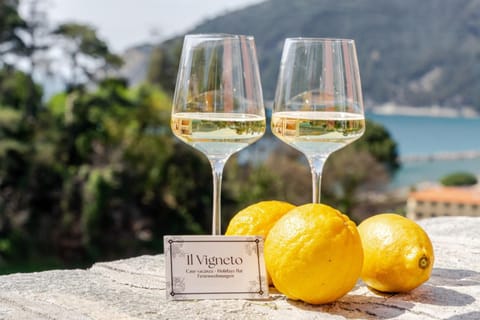 Il Vigneto House in Moneglia