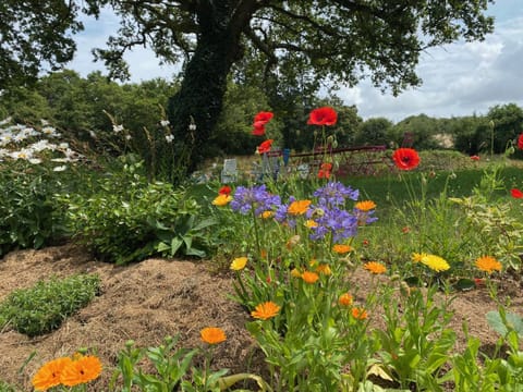 Le Moulin des hirondelles Bed and Breakfast in Brittany