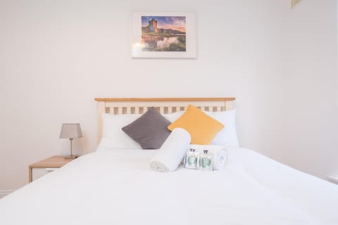 Stylish CITY Centre Townhouse, Sleeps 12 with Parking Apartment in Galway