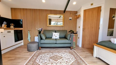 Living room, Photo of the whole room