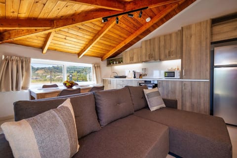 Kitchen or kitchenette, Living room, Seating area, Dining area, oven, stove