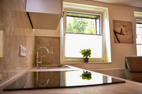 Balcony/Terrace, Kitchen or kitchenette