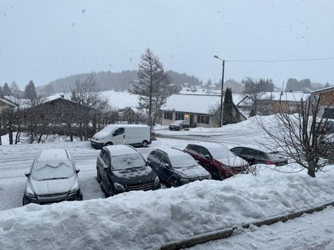 Appartement au calme Apartment in Canton of Vaud