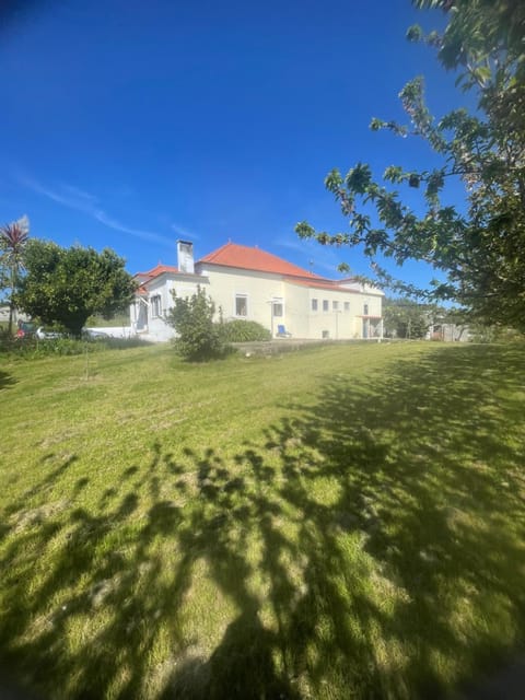 Property building, Spring, Day, Garden