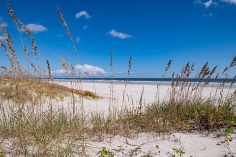 Flamingo Beach Hideaway House in Butler Beach