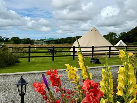 The Beehive Luxury tent in Martletwy