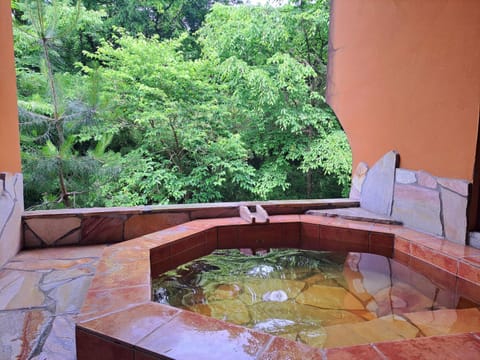 Spring, Natural landscape, Hot Spring Bath, Hot Spring Bath, Open Air Bath, Open Air Bath