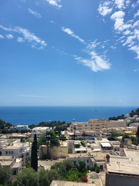 Capri Caput Mundi Apartment in Capri