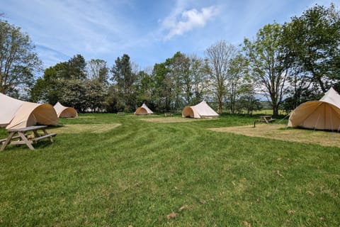 Property building, Natural landscape