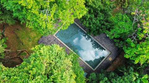 Spring, Natural landscape, Bird's eye view, Garden, Garden view, Pool view, Swimming pool