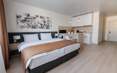 Bed, Kitchen or kitchenette, Photo of the whole room, Bedroom, stove, wardrobe