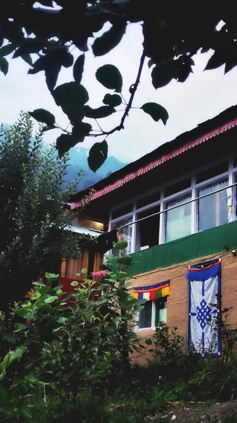 Property building, Day, Garden, Garden view