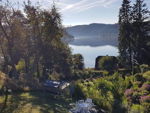 Lake view