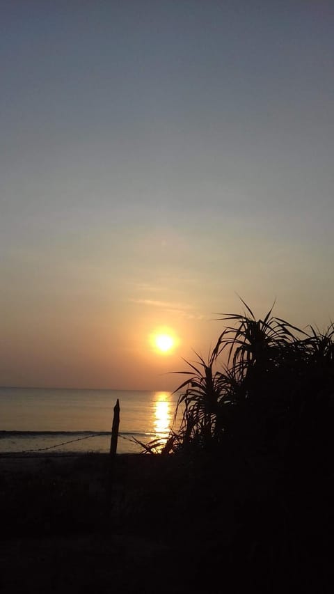 Day, Natural landscape, Beach, Sea view, Sunrise