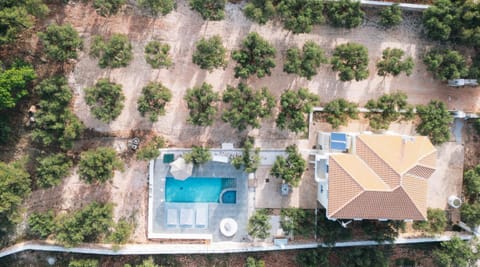 Property building, Day, Bird's eye view, Pool view, Swimming pool