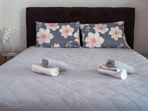 Apartman Ristić Apartment in Serbia