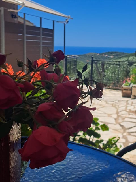 Natural landscape, View (from property/room), Inner courtyard view