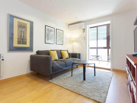 Living room, air conditioner