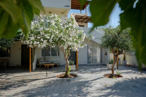 Property building, Patio, Day, Garden, Garden view, Inner courtyard view