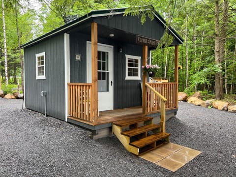HARRISVILLE Love Shack House in Adirondack Mountains