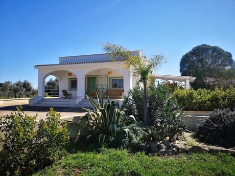 Property building, Day, Garden