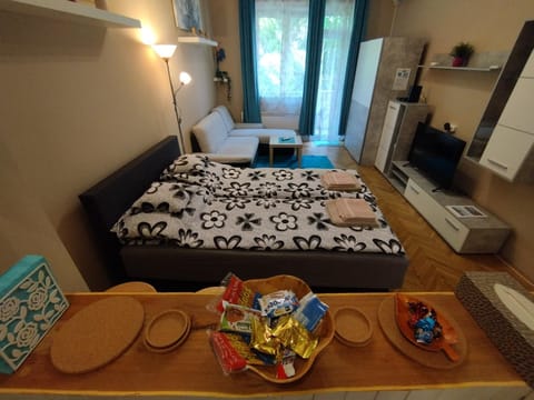 Bed, Living room, Photo of the whole room, Seating area, Bedroom