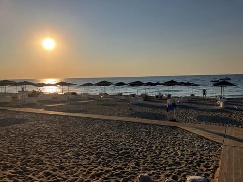 Beach, Sea view, Sunrise, sunbed