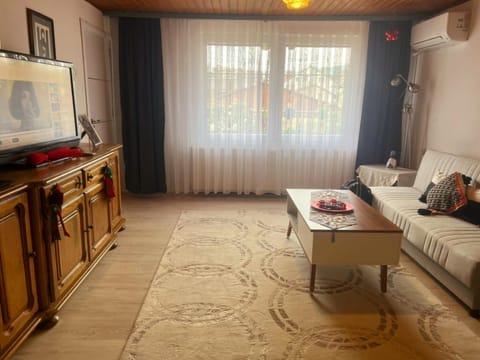 Old Street House Apartment in Serbia