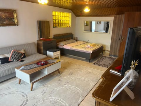 Old Street House Apartment in Serbia