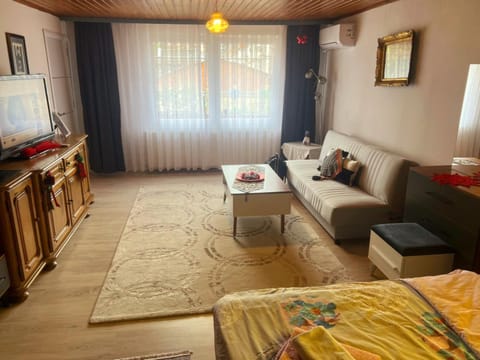 Old Street House Apartment in Serbia