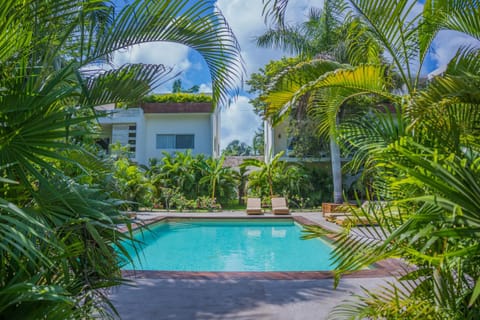 Day, Garden, Swimming pool