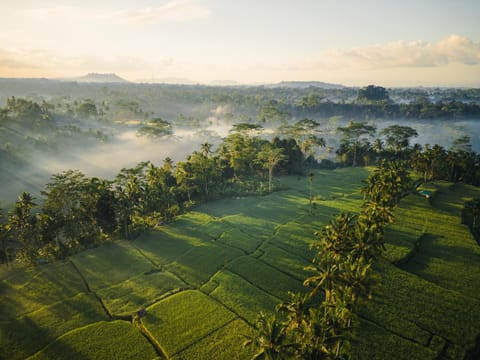 Nearby landmark, Natural landscape, Bird's eye view