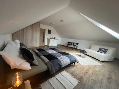Bed, Living room, Photo of the whole room, Seating area, Bedroom