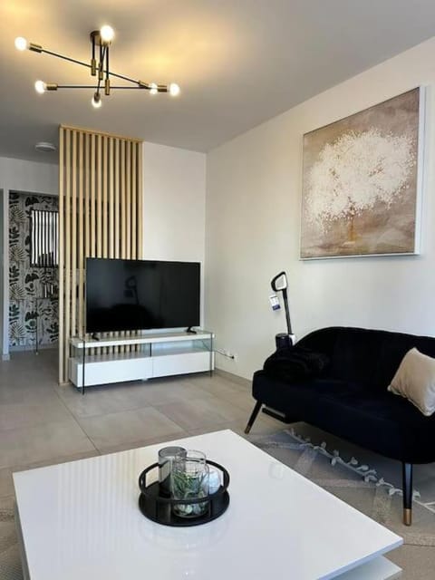 Spacieux Appartement de 73 m2 en plein centre-ville d'Evian avec 2 chambres Apartment in Évian-les-Bains