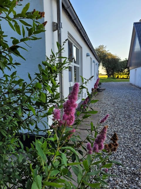 Vakantiewoning Denemarken House in Central Denmark Region